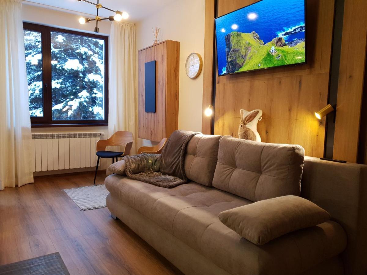 Pinewood Ang Luxurious Apartment A32 보로베츠 외부 사진