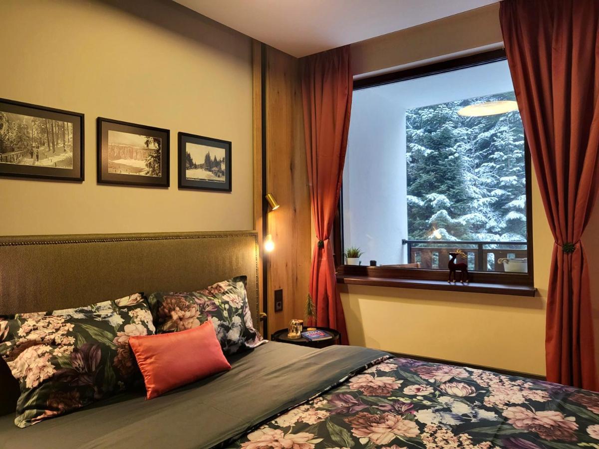 Pinewood Ang Luxurious Apartment A32 보로베츠 외부 사진